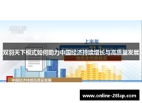 双羽天下模式如何助力中国经济持续增长与高质量发展