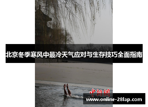 北京冬季寒风中最冷天气应对与生存技巧全面指南